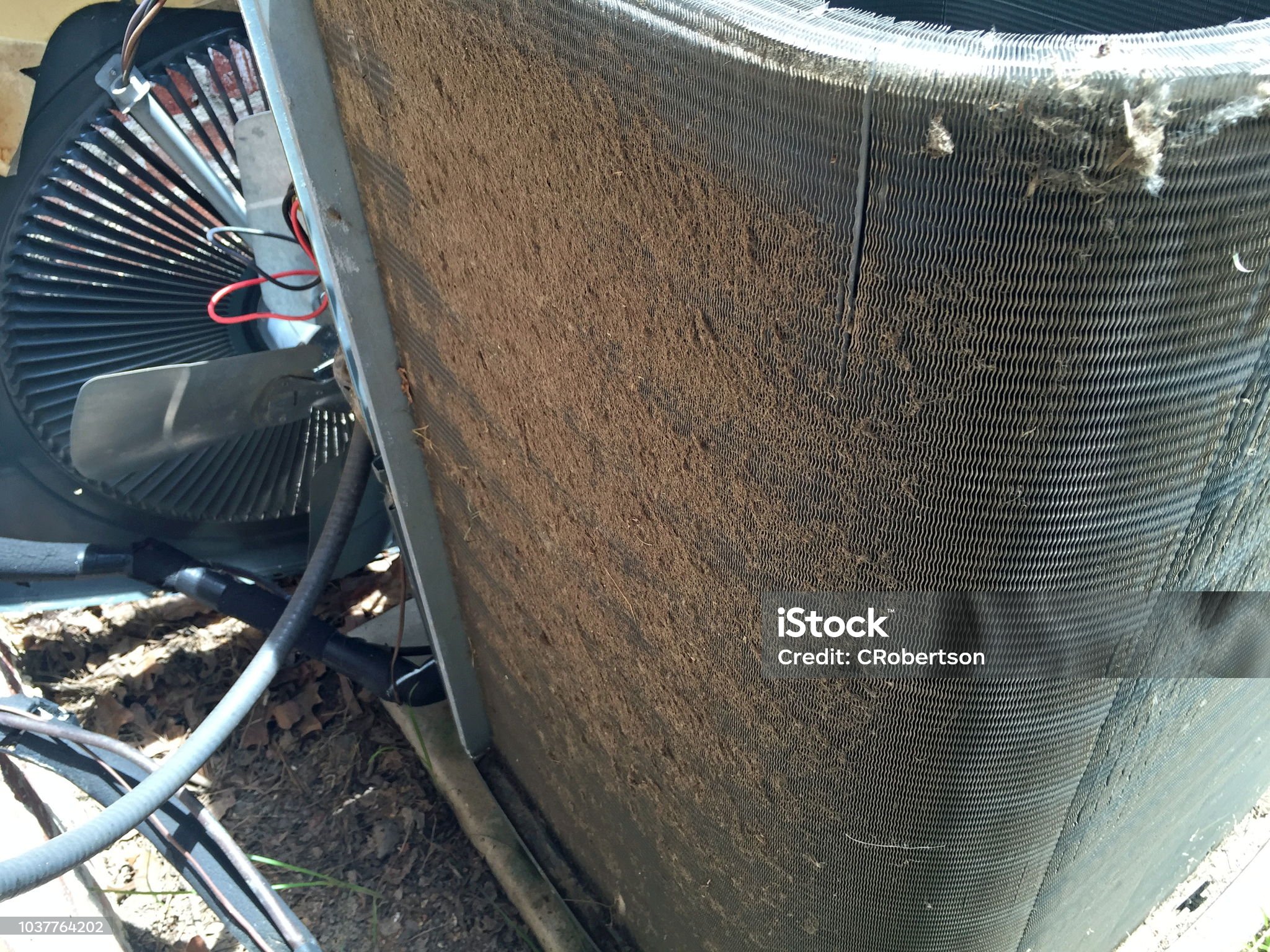 Coil Cleaning